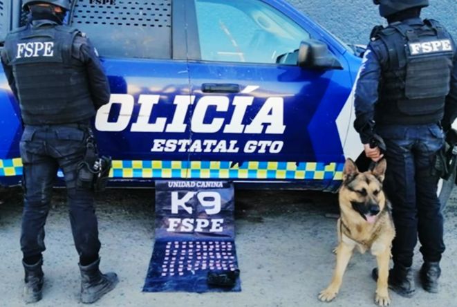 Unidad Canina K De Las Fspe Logr Asegurar A Un Hombre Que Tra A