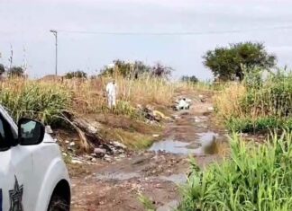 Localizan los restos humanos de tres personas en dos hechos distintos en Irapuato
