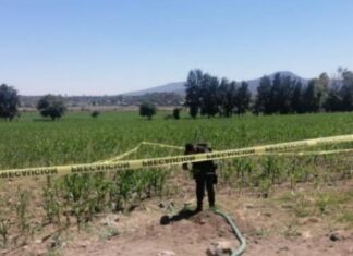 Aseguran toma clanfestina, vehículos y contenedores con hidrocarburo en Cuitzeo Mich.