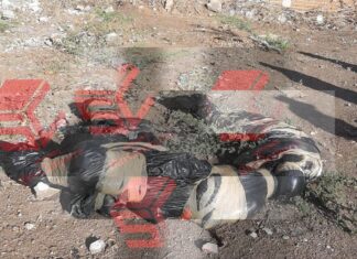 Dos hombres y una mujer ejecutados y envueltos en bolsas de plástico en León.