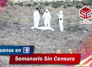 Localizan el cuerpo de una mujer sin vida en Cañada de Venaderos en León.
