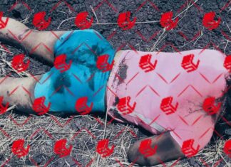 Ejecutan a una mujer en Valle de Santiago, su cuerpo fue localizado en una parcela de la comunidad de La Magdalena de Araceo.