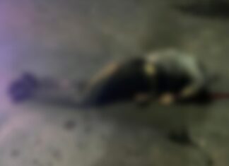 Ejecutan a un hombre en la colonia Eduardo Ruiz en Morelia.