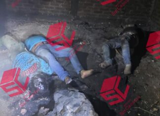 Encuentran los cuerpos de tres hombres ejecutados y en avanzado estado de descomposición en León.