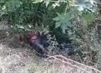 Encuentran el cuerpo sin vida de un hombre en avanzado estado de descomposición en Los Prietos, en Salamanca