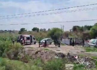 Sobrevive a ejecución, recibió siete impactos de proyectil de arma de fuego, en el libramiento Celaya-Valle en Salamanca.