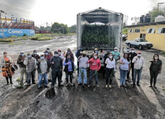 Gobierno municipal en Salvatierra promueve cultivos alternativos.