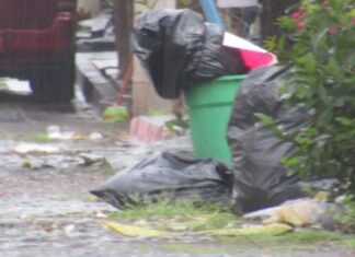 Encuentran restos humanos de una mujer en bolsas de plástico negras en Zamora Mich.