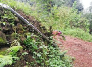 Encuentran el cuerpo sin vida de un joven en una huerta de aguacate en Periban Mich.