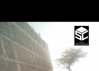 Encuentran más de 20 cuerpos en una fosa clandestina en Uriangato.