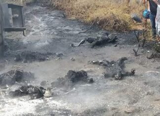 Les explota pipa cuando robaban combustible en Colombia.