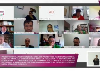 Aprueba IEEG convocatoria para integración de consejos municipales y distritales.
