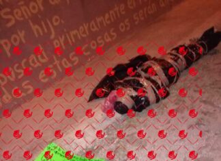 Encuentran restos humanos en bolsas de plástico en Celaya.