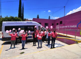 Adquiere DIF municipal vehículo adaptado para personas con movilidad reducida en Salvatierra.