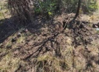 Encuentran tres osamentas en fosa clandestina en Morelia.