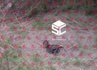 Encuentran el cuerpo de una mujer en avanzado estado de descomposición en Valle de Santiago.