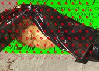 Encuentran restos humanos de una mujer desmembrada en Cortázar.