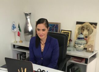 Alejandra Gutiérrez, Diputada local presento iniciativa para nuevo esquema de expedición expedición de licencias.