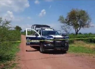 Localizan a una persona del sexo masculino ejecutada en San Jose del Carmen en Salvatierra.