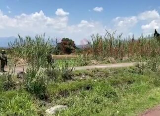 Localizan el cuerpo sin vida de un hombre en la comunidad de Santo Tomas Huatzindeo en Salvatierra.