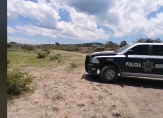 Ejecutan a dos en León, en el camino entre Las Rosas y La Lagunilla.
