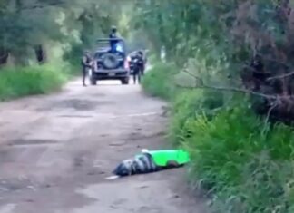 Encuentran el cuerpo de una persona ejecutada y embolsada en Celaya.
