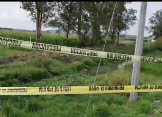 Localizan a una mujer ejecutada en un canal de riego en Irapuato.