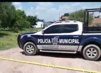 Un hombre fue ejecutado dentro de su casa en Cortazar.