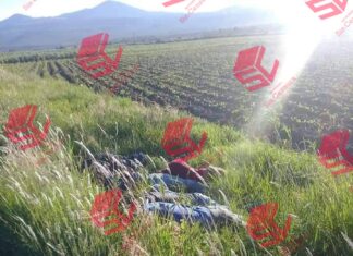 Ejecutan a siete hombres en la carretera estatal Jerecuaro-Apaseo El Alto.