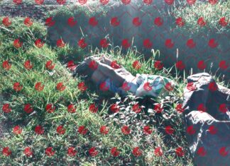 Encuentran el cuerpo de un hombre sin vida en la carretera a La Gachupina en Valle de Santiago.