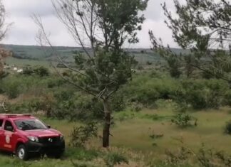 Encuentran fosa clandestina en la comunidad de Valencia en Juventino Rosas, no se ha logrado determinar cuántos cuerpos u osamentas hay.