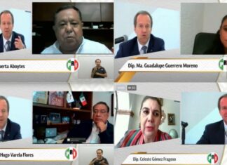 Informan a Diputados del PRI sobre efectos de la pandemia.