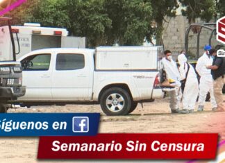 Una mujer fue asesinada frente a su domicilio en la colonia Valle de Jerez en León.