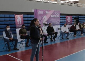 Segundo foro para reglamentar candidaturas indígenas en San Miguel Allende.