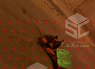 Dejan cuerpo descuartizado debajo del puente en la comunidad de San Juan Del Llanito en Apaseo El Grande.