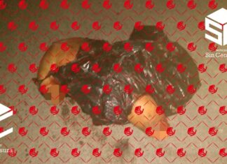 Encuentran bolsa de plástico con restos humanos en la carretera Valle de Santiago- Jaral del Progreso.