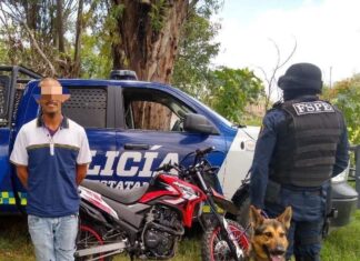 Detienen en Irapuato a un hombre con 150 dosis de marihuana.