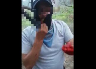 Sicario del CJNG extrae corazón de un rival y se lo come; circula el video en redes sociales.