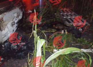 Un hombre murió calcinado después de volcarse con la unidad que conducía en Yuriria.