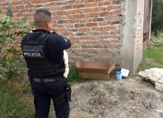 Policía municipal de Celaya rescatan a bebé abandonada en San Miguel Octopan.
