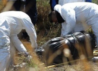 Localizan el cuerpo de una mujer desmembrado en Apatzingán Michoacán.