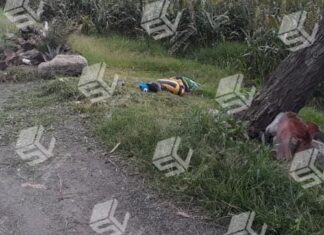 Ejecutan de varios disparos de arma de fuego a un hombre en la comunidad de El Perico, en Valle de Santiago.