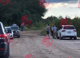 Una mujer fue asesinada por su pareja en León.