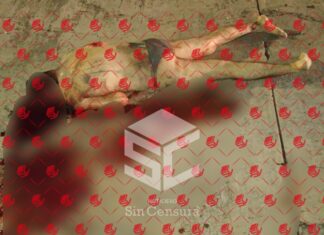 Comando armado ejecutó a dos personas en La Josefa en Jaral del Progreso, una de las victimas respondía al nombre de Raymundo «N», alias El Chilango.