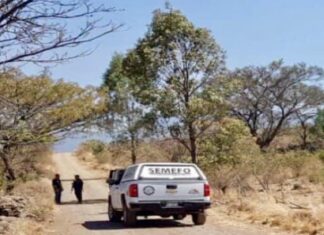 Encuentran el cuerpo se un hombre decapitado en Zamora Mich.