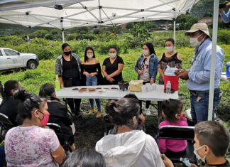 Capacitan a productores del campo para el combate de plagas en Salvatierra.