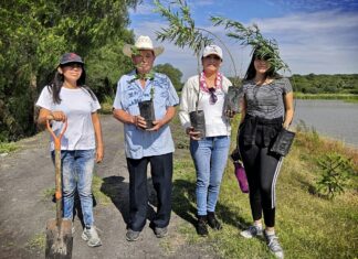 Autoridades municipales en Salvatierra, iniciaron campaña de reforestación en el municipio.