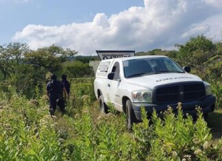 Encuentran el cuerpo de una persona en a avanzado estado de descomposición en Tarimbaro Mich.