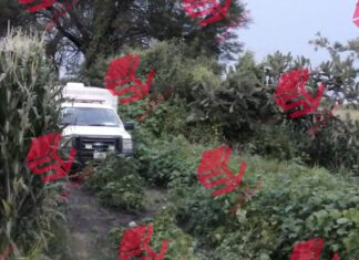 Encuentran los cuerpos sin vida se tres personas en Puerta de Andaracua, en Valle de Santiago.