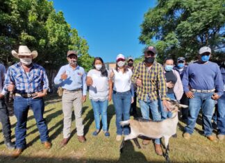 En el marco del programa «Mi ganado productivo» y con una inversión de 250 mil pesos se beneficio a productores caprinos de Salvatierra.